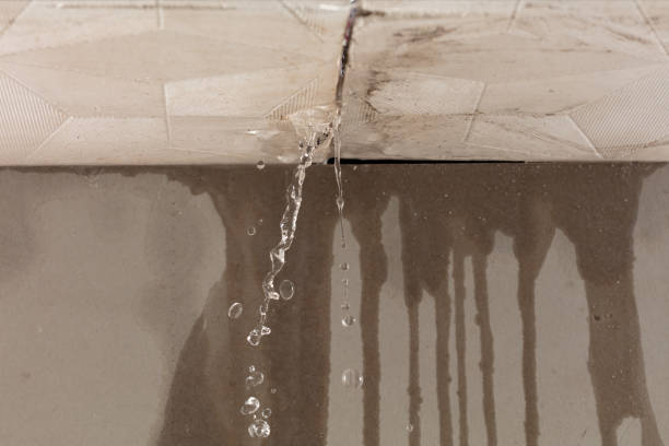 Professional Sewage Cleanup technician working in Warrenville, IL
